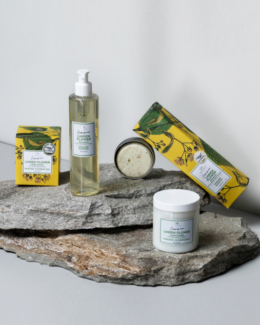 Coffret Volume Familial Tilleul et Bouleau Nordique, Vitalité et Volume pour Toute la Famille avec boîtes