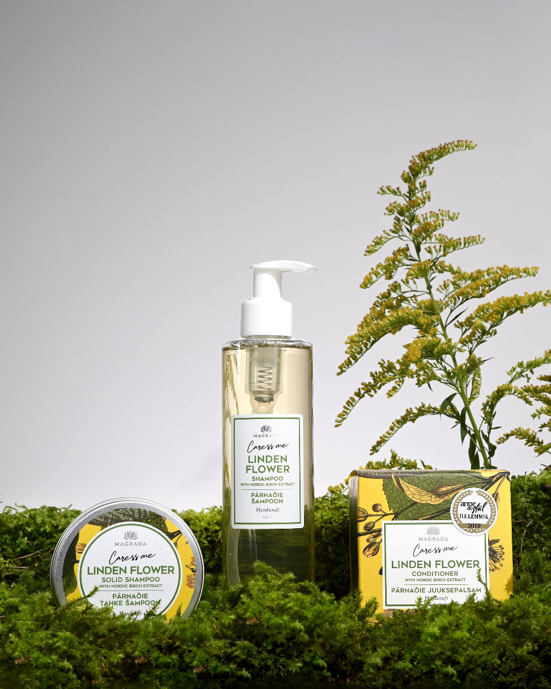 Coffret Volume Familial Tilleul et Bouleau Nordique, Vitalité et Volume pour Toute la Famille avec boîtes