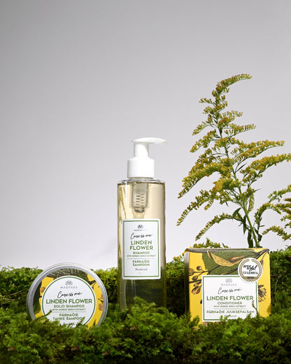 Coffret Volume Familial Tilleul et Bouleau Nordique, Vitalité et Volume pour Toute la Famille avec boîtes