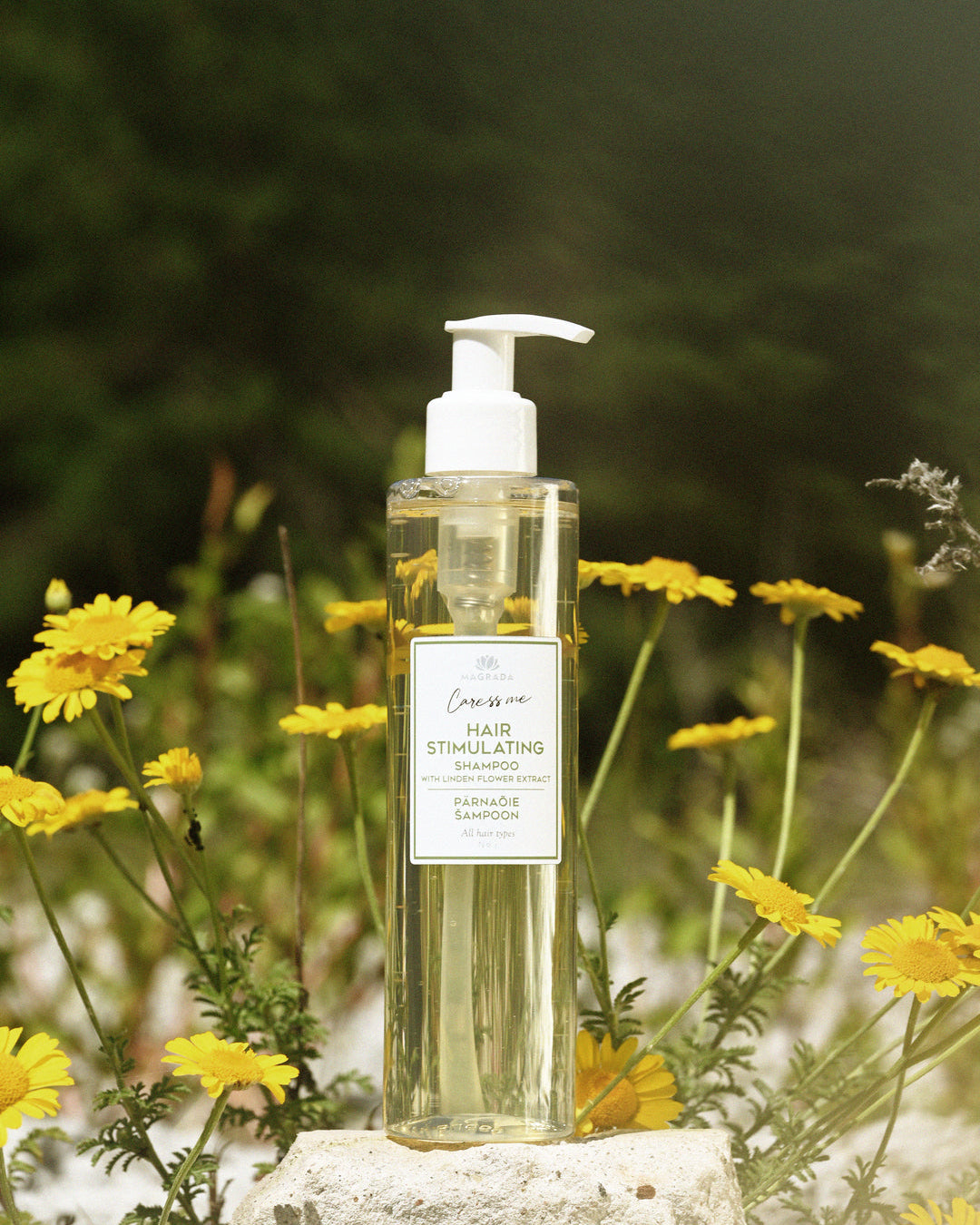 Shampoing Fleur de Tilleul et Extrait de Bouleau Nordique, 250ml dans la nature