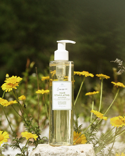 Shampoing Fleur de Tilleul et Extrait de Bouleau Nordique, 250ml dans la nature