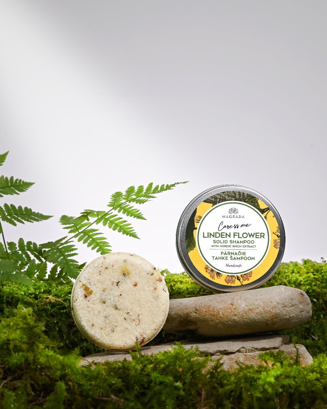 Shampoing Solide Tilleul et Bouleau Nordique et sa boîte