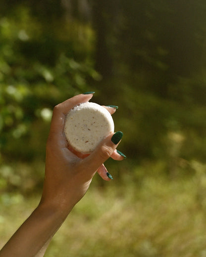 Shampoing Solide Tilleul et Bouleau Nordique